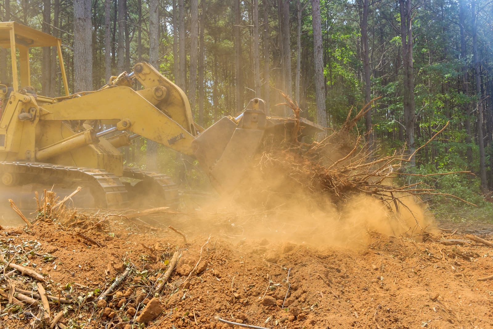 A powerful bulldozer efficiently clears land in the woods